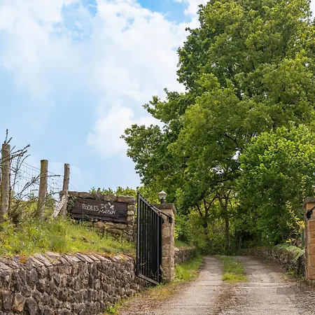 Rodiles De Matison Villamayor (Pilona)